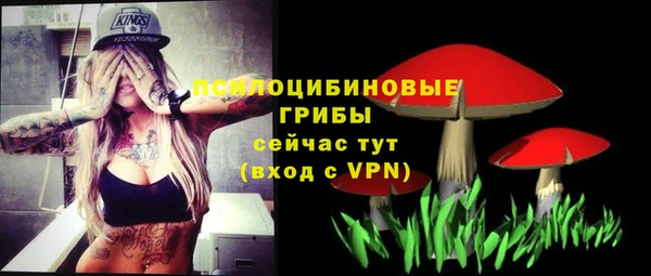 круглые Алзамай