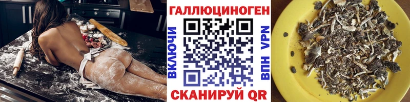 Галлюциногенные грибы Cubensis Красногорск